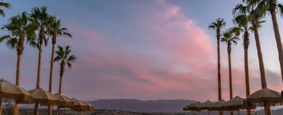 Bonus de bienvenue Jusqu'à 200% de bonus + 2000 € et 100 tours gratuits - Unique Casino